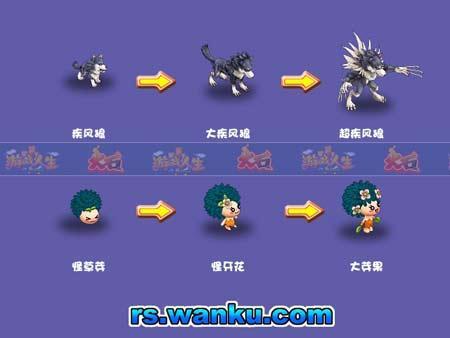 网游中的宠物进化路线
