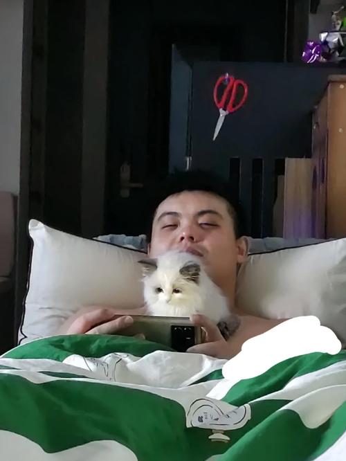 当现实作息被游戏颠覆:夜猫子玩家的日常