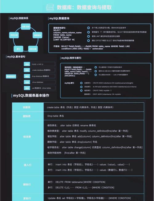 从数据看本质:深度解析角色属性