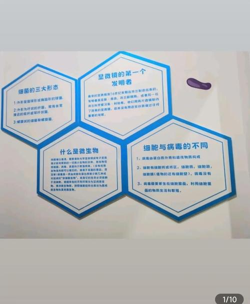 从游戏中学习历史文化：寓教于乐的游戏案例
